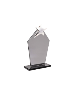 HZ-291 KRİSTAL PLAKET YILDIZLI HZ-291 KRİSTAL PLAKET YILDIZLI